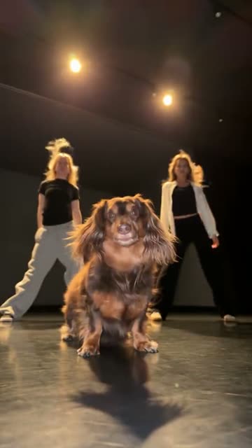 The original at 0:01