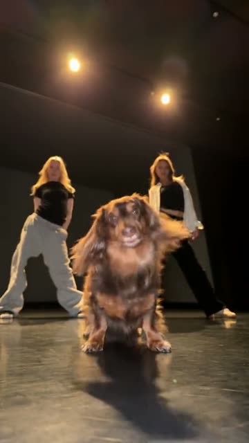 The original at 0:05