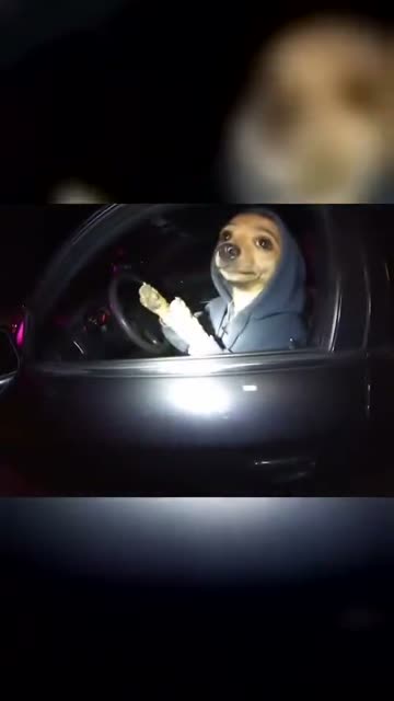 The original at 0:09